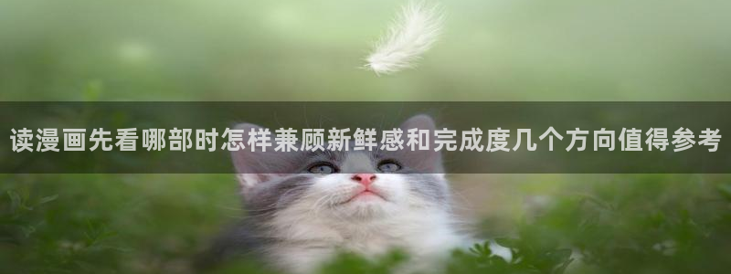 漫漫漫画免费漫画网站