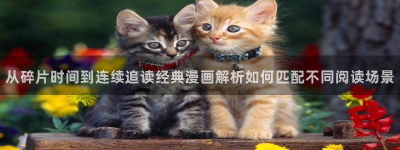 新新漫画漫画在线阅读