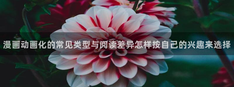 新新漫画漫画资源大全